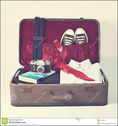 Ce week-end tu es invitée par ton copain/ta copine en croisière. Que prends-tu dans ta valise ?