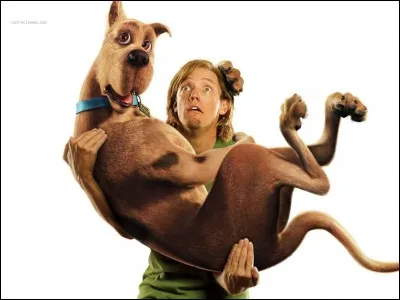 Toujours vêtu d'un tee-shirt vert, et aussi peureux que lui, comment s'appelle le meilleur ami de Scoubidou ?