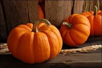 Avec quelle autre courge la citrouille était-elle souvent confondue ?