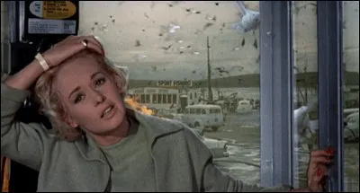 Dans le film "Les Oiseaux", Mélanie Daniels se rend à Bodega Bay pour :