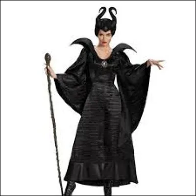 Quel est ce costume ?