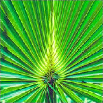 Quel plan&egrave;te est la plus &eacute;loign&eacute;e du Soleil ?