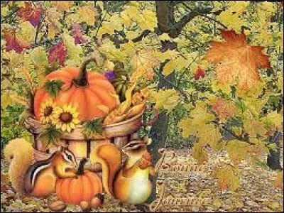 En France cette saison correspond à l'équinoxe d'automne, soit ...