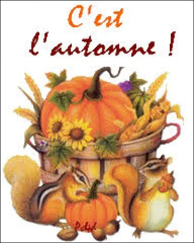 Dans le roman de Boris Vian, où se déroule l'automne ?