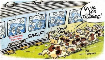 Reste en rade après le départ du train.