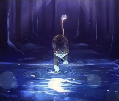 Et pour finir, quel est le chat intrus parmi eux ?