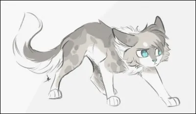 Qui est Mésange Portée par le Vent ?