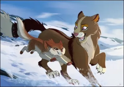 Nuage d'Écureuil (Poil d'Écureuil) a été une élue du Grand Périple.