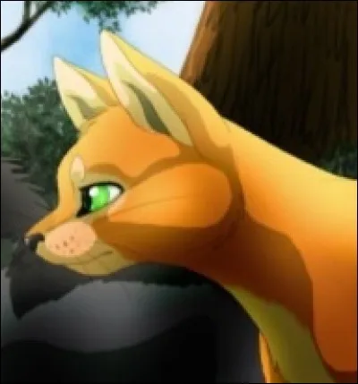 Vrai ou faux ? 
Longue Plume a sauvé la vie à Étoile de Feu.