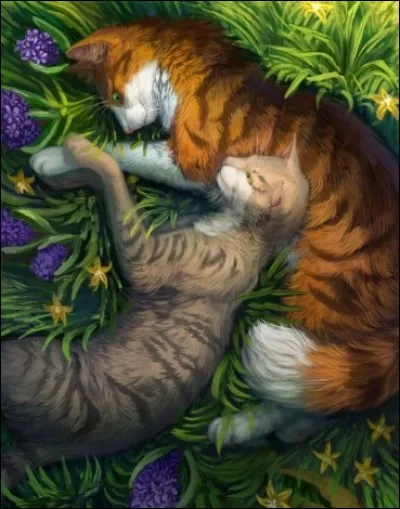 Qui sont les compagnes de Pelage de Lion et il de Geai ?