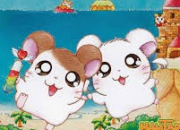 Quiz Hamtaro : Petits Hamsters, Grandes Aventures