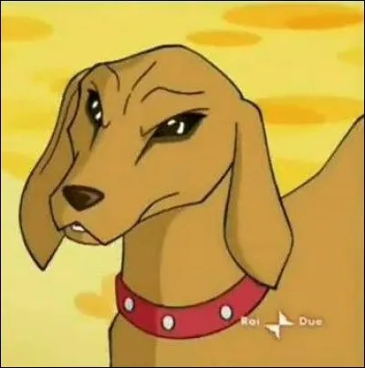 Comment s'appelle le chien de Roxy ?