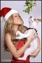 Comment se nomme le chien de Mariah Carey ?