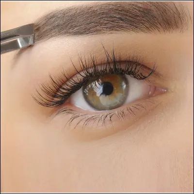 À quoi servent les sourcils ?