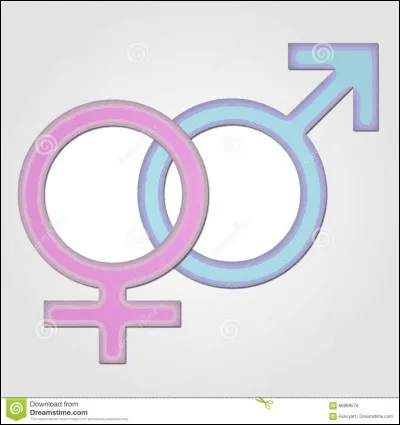 Es-tu une fille ou un gars ?