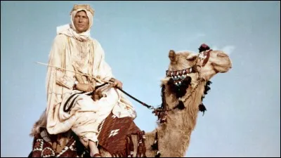 Lors de quelle guerre Lawrence d'Arabie s'est-il battu contre les Turcs, monté sur un chameau de course ?