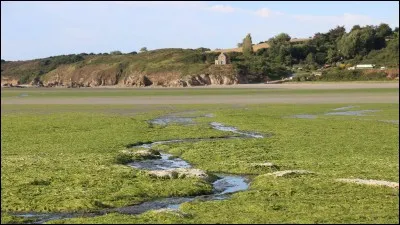 Les activités agricoles provoquent des nuisances environnementales