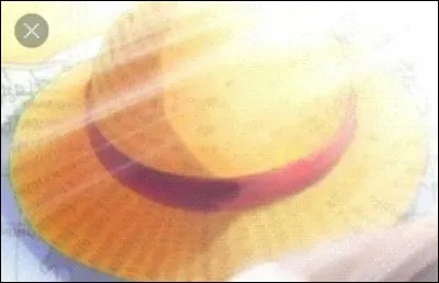 Le chapeau de paille que porte Luffy appartenait à Shanks, mais à qui appartenait-il avant Shanks le Roux ?
