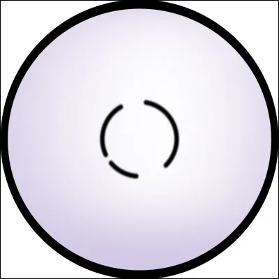 Comment se nomme le dôjutsu du clan Hyûga ?