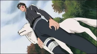 Comment se nomme le chien de Kiba ?