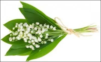 Connaissez-vous le nom botanique du muguet ?