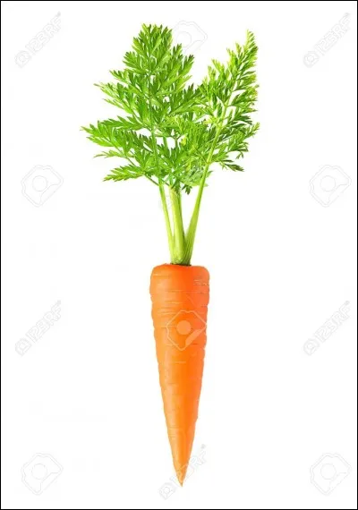 Quel est le nom de ce légume ?