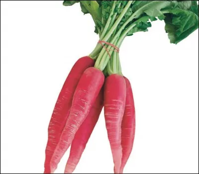 Quel est le nom de ce légume ?