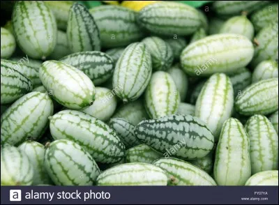 Quel est le nom de ce légume ?