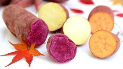 Quel est le nom de ce légume ?