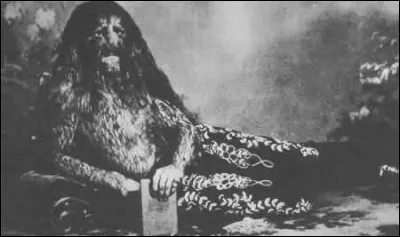 Roi d'Arcadie, dégustant volontiers la chair des étrangers qui venaient à passer sur ses terres. Qui est-il ?