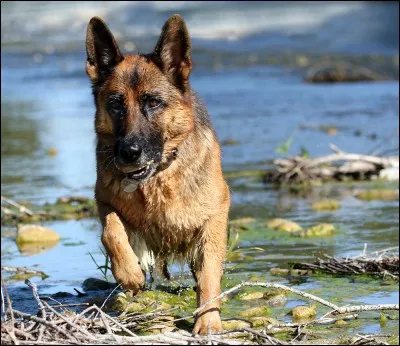 Il préfère vivre dans .......