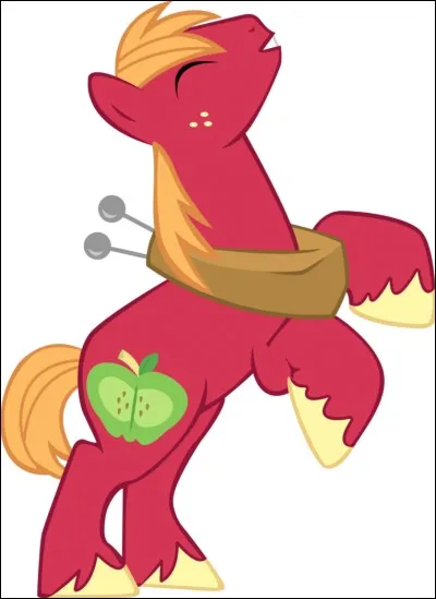 Quel est ce poney ?
