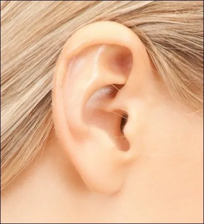 Quel est l'ordre des trois osselets de l'oreille, en partant de l'extérieur ?