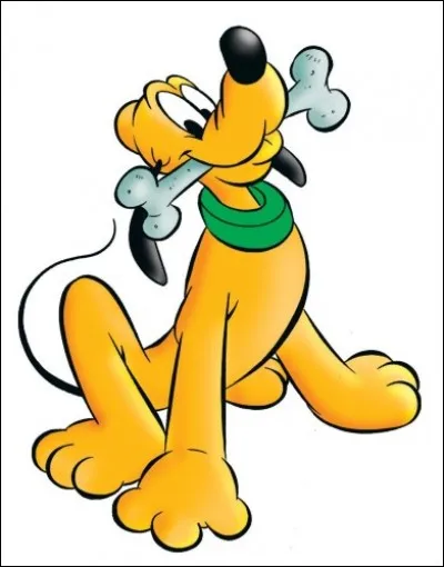 Le fidèle ami de Mickey qui a eu des démêlés avec Tic et Tac, puis aussi avec Donald, ce qui est compréhensible. Les aventures que leurs confrontations font vivre, demeurent vivantes au travers des années.