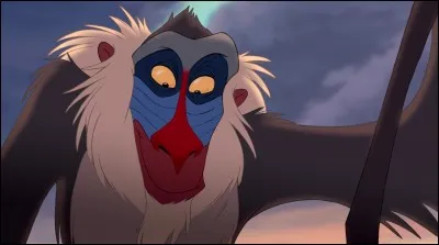 Il personnifie un vieux sage. La scène dans laquelle il présente Simba à bout de bras, au peuple de la jungle, sera l'une de celles promises à la postérité. Voilà enfin un bon sorcier !