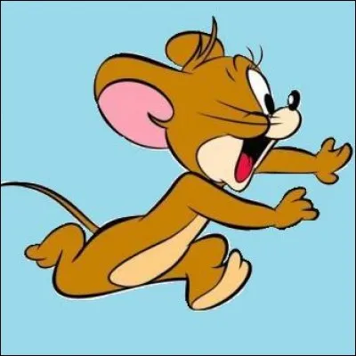 Créé par Hanna-Barbara, cette souris se défend contre le méchant chat Tom. Elle déjoue tous ses plans et cela se retourne souvent contre lui. Ils se sont souvent poursuivis en se jetant tout ce qui leur tombait sous la main.
La série s'est mérité 7 Oscars, elle est connue partout sur la planète.