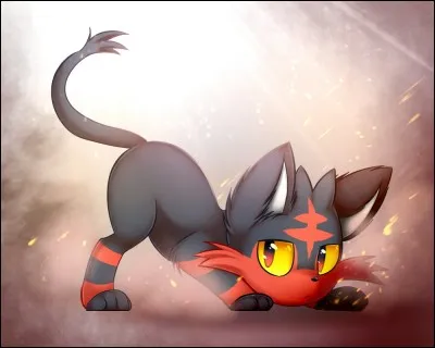 Quel est ce Pok&eacute;mon ?