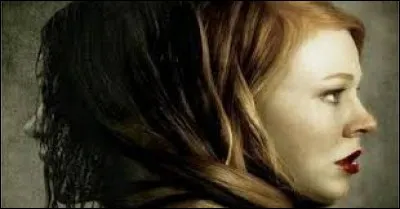 Laquelle de ces propositions ne désigne pas un film d'horreur ?