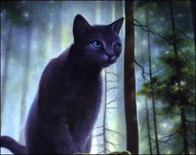 Qui est l'intrus de cette liste ?