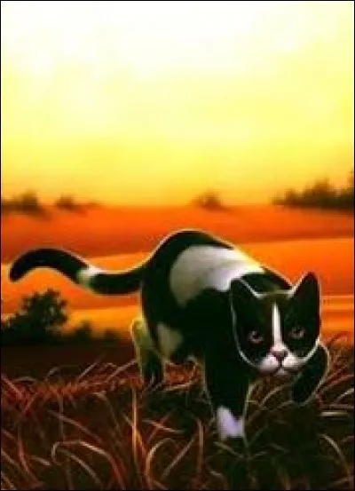 Qui est l'intrus de cette liste ?