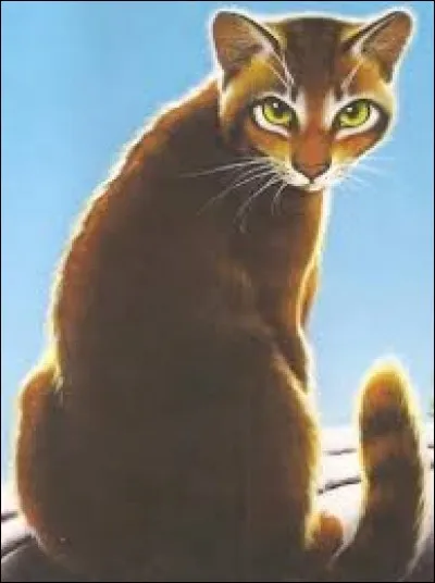 Qui sont les intrus de cette liste ?