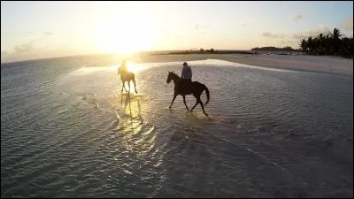 Imaginons la fin de la journée et asseyons-nous à la terrasse d'un café. On va faire péter le jaune !