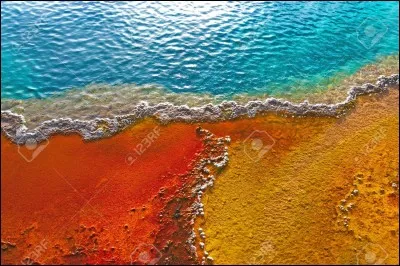 Couleur de fourrure et autres, espion, engin de fouissage et classe supérieure.