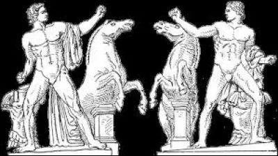 Castor et Pollux sont nés ...