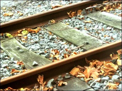 Que peux-tu voir dans certaines gares SNCF ?