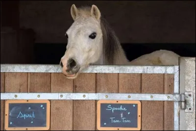 Avec quoi nettoie-t-on les sabots ?