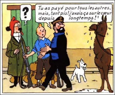 De quel album est-ce la dernière case ?