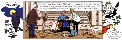 De quel album est-ce la dernière case ?