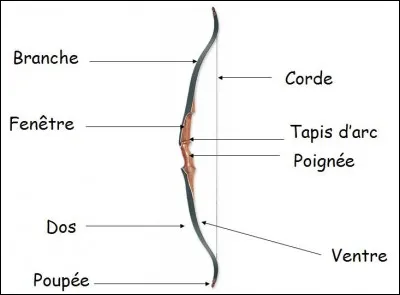 Plusieurs cordes à mon arc la ferveur de ____ _____