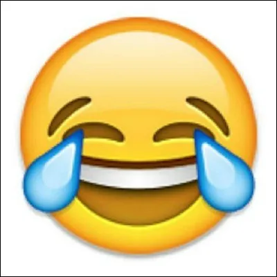 J'ai pas l'humour de _______ _______